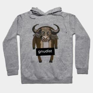 Gnudist Hoodie